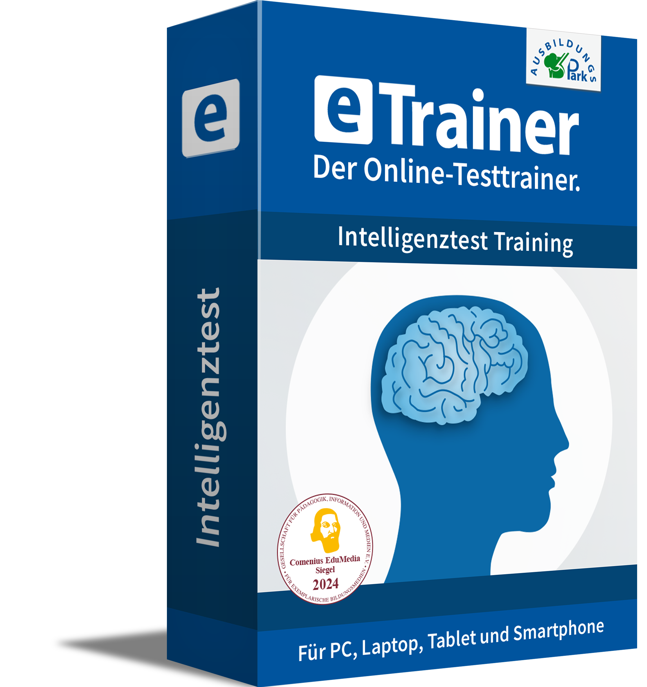 Einstellungstest Intelligenztest Training